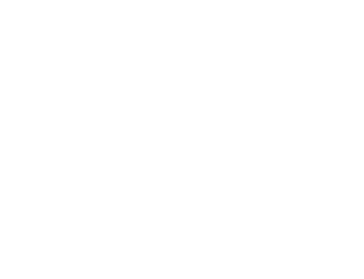 Visionolic logo